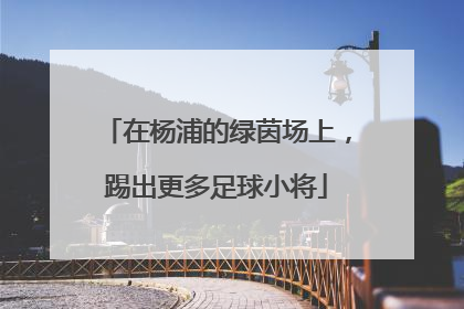 在杨浦的绿茵场上，踢出更多足球小将