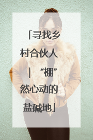 寻找乡村合伙人｜“棚”然心动的盐碱地