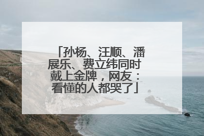 孙杨、汪顺、潘展乐、费立纬同时戴上金牌，网友：看懂的人都哭了