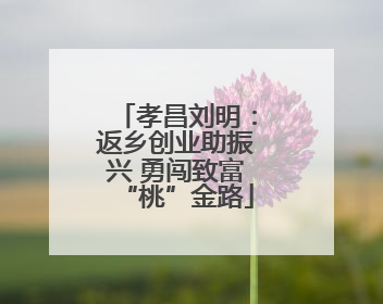 孝昌刘明：返乡创业助振兴 勇闯致富“桃”金路