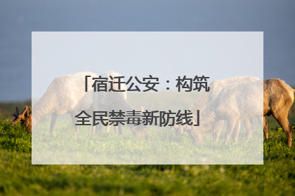 宿迁公安：构筑全民禁毒新防线
