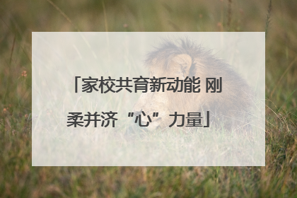 家校共育新动能 刚柔并济“心”力量