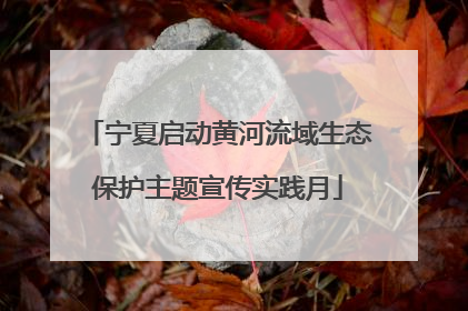 宁夏启动黄河流域生态保护主题宣传实践月