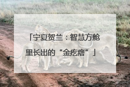 宁夏贺兰：智慧方舱里长出的“金疙瘩”