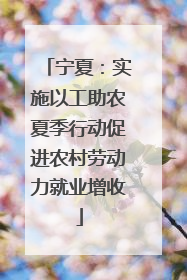 宁夏：实施以工助农夏季行动促进农村劳动力就业增收
