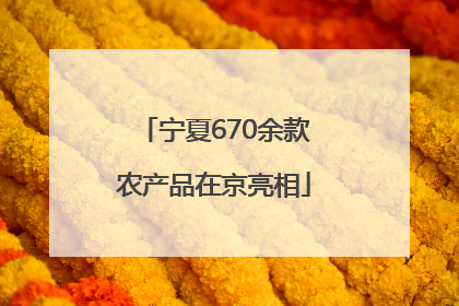 宁夏670余款农产品在京亮相