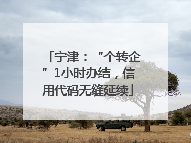 宁津：“个转企”1小时办结，信用代码无缝延续