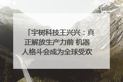 宇树科技王兴兴：真正解放生产力前 机器人格斗会成为全球受欢迎的赛事｜科技观察