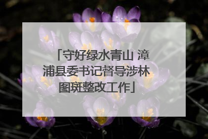 守好绿水青山 漳浦县委书记督导涉林图斑整改工作