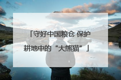 守好中国粮仓 保护耕地中的“大熊猫”
