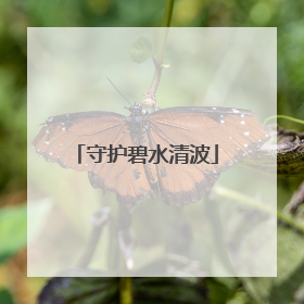守护碧水清波