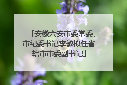 安徽六安市委常委、市纪委书记李敏拟任省辖市市委副书记