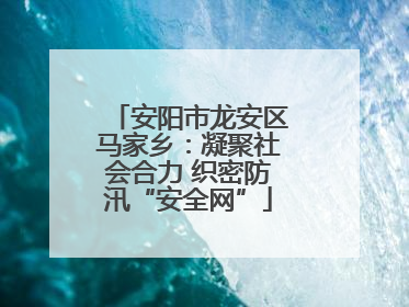 安阳市龙安区马家乡：凝聚社会合力 织密防汛“安全网”