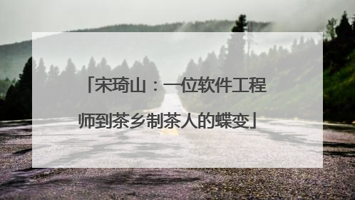 宋琦山：一位软件工程师到茶乡制茶人的蝶变