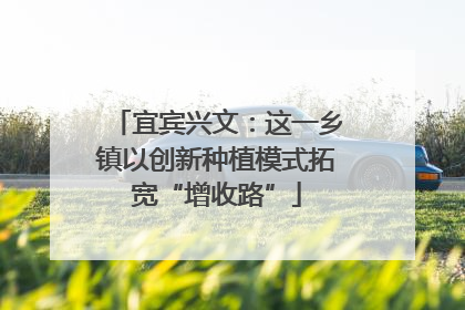 宜宾兴文：这一乡镇以创新种植模式拓宽“增收路”