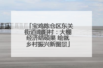宝鸡陈仓区东关街道南阳村：大棚经济结硕果 绘就乡村振兴新图景
