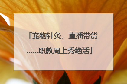 宠物针灸、直播带货……职教周上秀绝活