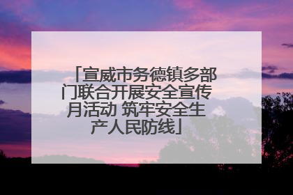 宣威市务德镇多部门联合开展安全宣传月活动 筑牢安全生产人民防线