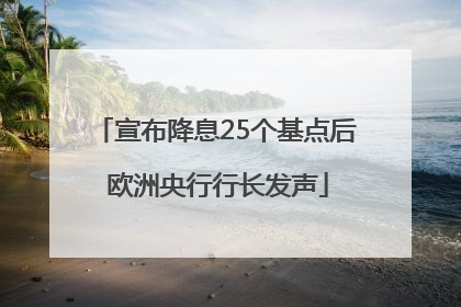 宣布降息25个基点后 欧洲央行行长发声