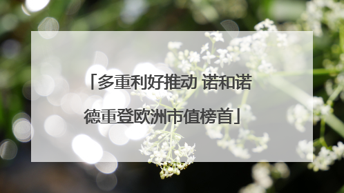 多重利好推动 诺和诺德重登欧洲市值榜首
