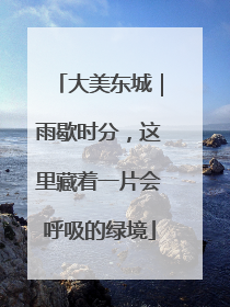 大美东城｜雨歇时分，这里藏着一片会呼吸的绿境