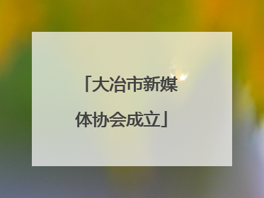 大冶市新媒体协会成立