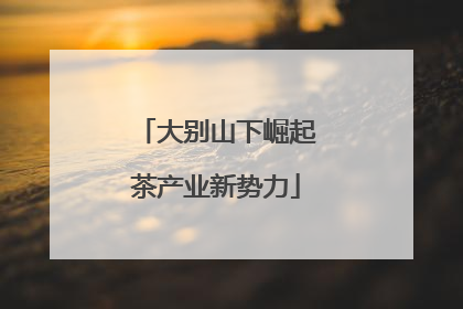 大别山下崛起茶产业新势力