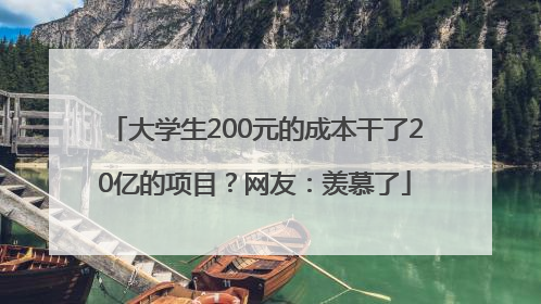 大学生200元的成本干了20亿的项目？网友：羡慕了