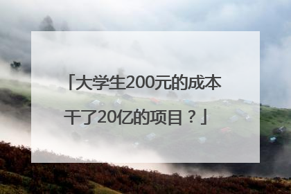 大学生200元的成本干了20亿的项目？