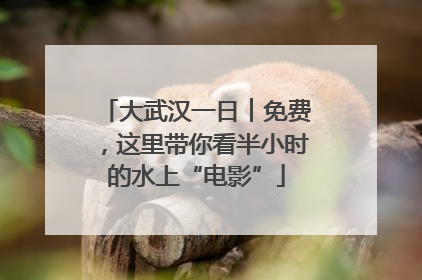 大武汉一日︱免费，这里带你看半小时的水上“电影”