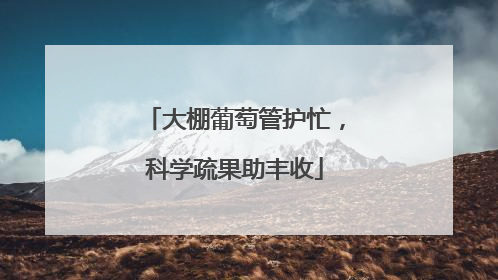 大棚葡萄管护忙，科学疏果助丰收