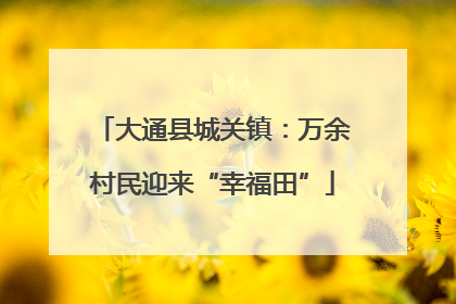 大通县城关镇：万余村民迎来“幸福田”