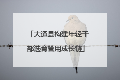 大通县构建年轻干部选育管用成长链