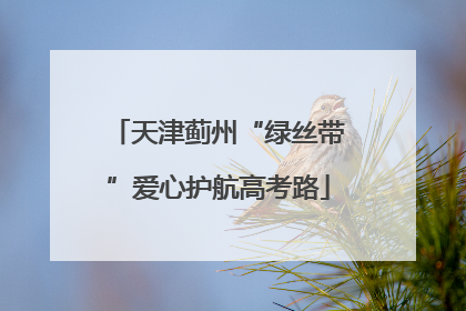 天津蓟州“绿丝带”爱心护航高考路