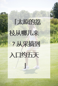 太原的荔枝从哪儿来？从采摘到入口约五天