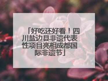 好吃还好看！四川盐边县非遗代表性项目亮相成都国际非遗节