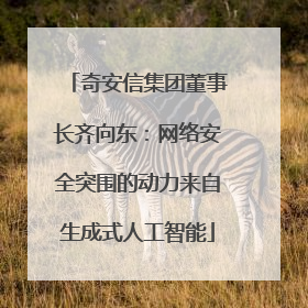 奇安信集团董事长齐向东：网络安全突围的动力来自生成式人工智能
