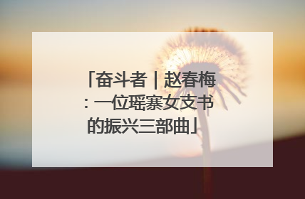 奋斗者｜赵春梅：一位瑶寨女支书的振兴三部曲