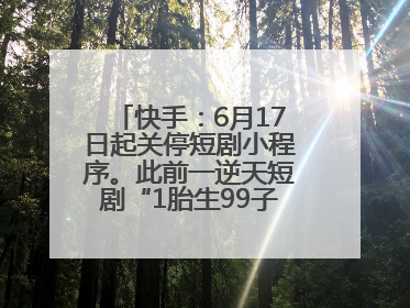 快手：6月17日起关停短剧小程序。此前一逆天短剧“1胎生99子”被全网下架