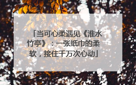 当可心柔遇见《淮水竹亭》：一张纸巾的柔软，接住千万次心动