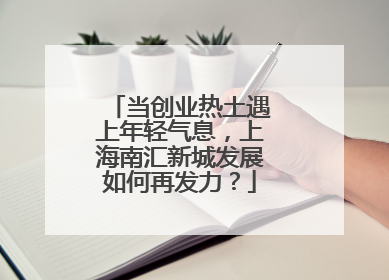 当创业热土遇上年轻气息，上海南汇新城发展如何再发力？