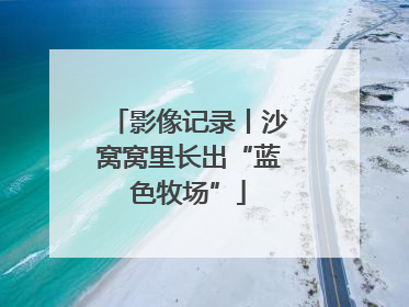 影像记录丨沙窝窝里长出“蓝色牧场”
