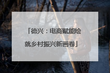 德兴：电商赋能绘就乡村振兴新画卷