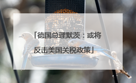 德国总理默茨：或将反击美国关税政策