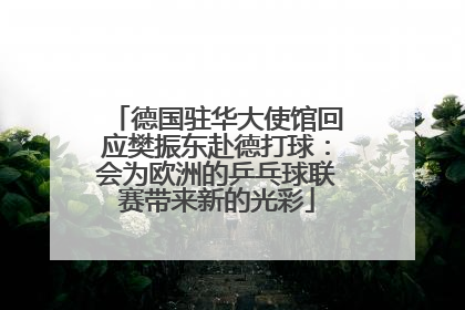 德国驻华大使馆回应樊振东赴德打球：会为欧洲的乒乓球联赛带来新的光彩