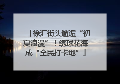 徐汇街头邂逅“初夏浪漫”！绣球花海成“全民打卡地”
