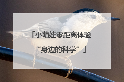 小萌娃零距离体验“身边的科学”
