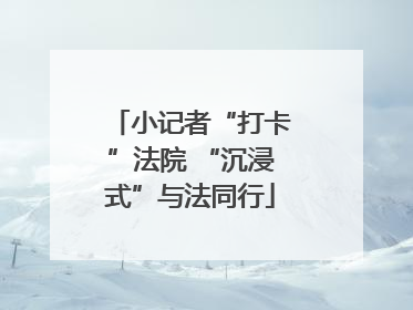 小记者“打卡”法院 “沉浸式”与法同行