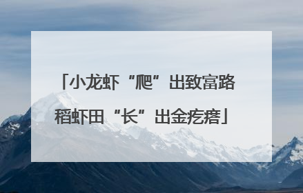 小龙虾“爬”出致富路 稻虾田“长”出金疙瘩