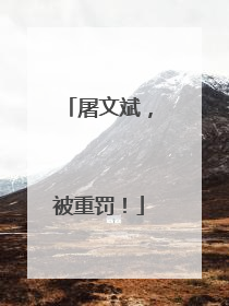 屠文斌，被重罚！